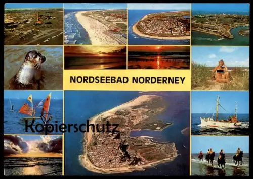 POSTKARTE NORDSEEBAD NORDERNEY FKK nudity nudist nude nudiste surfing horse riding North Sea cpa postcard Ansichtskarte