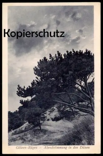 ALTE POSTKARTE GÖHREN AUF RÜGEN ABENDSTIMMUNG IN DEN DÜNEN Strand Ansichtskarte postcard cpa AK