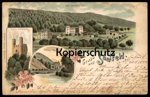 ALTE LITHO POSTKARTE GRUSS AUS SAALFELD SAALE SOMMERSTEIN OBERNITZ HOHE SCHWARM chateau castle Ansichtskarte postcard AK