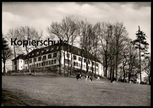 ÄLTERE POSTKARTE AACHEN JUGENDHERBERGE COLYNSHOF Kühe cows vaches youth hostel Ansichtskarte postcard cpa AK