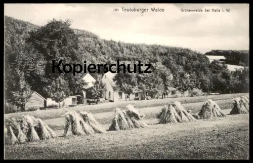 ALTE POSTKARTE GRÜNENWALDE BEI HALLE WESTFALEN HEUERNTE TEUTOBURGER WALDE WALD HEU hay foin cpa postcard Ansichtskarte