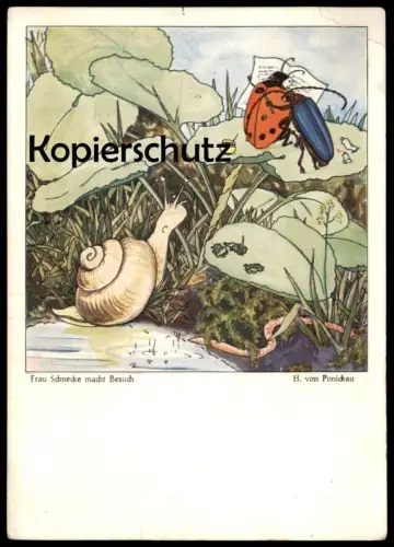 ALTE POSTKARTE TIERE KÄFER MARIENKÄFER SCHNECKE VERMENSCHLICHT WURM worm HANS WOLFF VON PONICKAU ladybird snail postcard