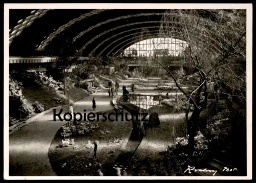 ALTE POSTKARTE MÜNSTER WESTFALEN GROSSE FRÜHLINGSBLUMENSCHAU HALLE MÜNSTERLAND 1956 cpa postcard AK Ansichtskarte
