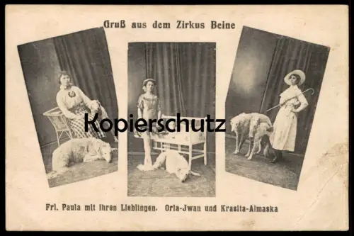 ALTE POSTKARTE ZIRKUS BEINE HUNDE cirque circus Borzoi ? Russischer Wolfshund ? dog chien Ansichtskarte postcard cpa AK