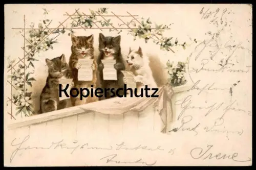 ALTE POSTKARTE KATZEN CHOR SINGENDE TIERE 1899 LIEDERZETTEL VERMENSCHLICHT cat cats chat chats Katze cpa postcard