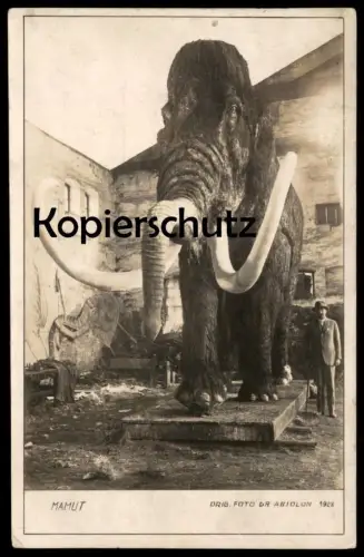 ALTE POSTKARTE BRNO 1928 MAMMUT MAMUT VYSTAVA SOUDOBE KULTURY BÖHMEN mammoth Brünn ceska republika czech republic cpa AK