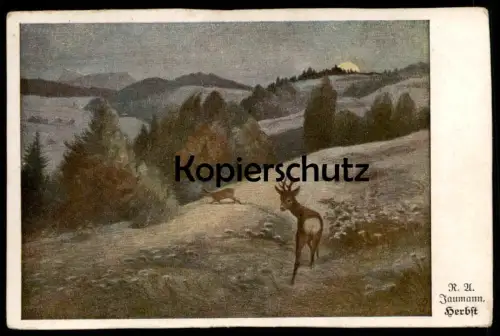 ALTE POSTKARTE HERBST RUDOLPH ALFRED JAUMANN HERBST HIRSCH BRUNFT roe deer cerf chevreuil autumn automne Ansichtskarte