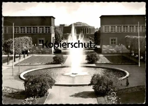 ÄLTERE POSTKARTE DÜSSELDORF EHRENHOF Ansichtskarte postcard cpa AK
