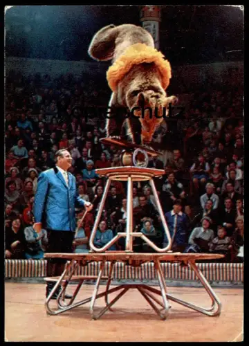 ÄLTERE POSTKARTE BEAR CIRCUS BÄR TANZBÄR MIT DOMPTEUR Zirkus ours Artisten artist Dressur postcard Ansichtskarte cpa AK