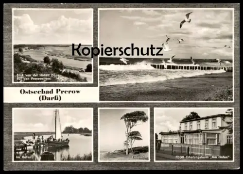 ÄLTERE POSTKARTE OSTSEEBAD PREROW DARSS BLICK VON DER HOHEN DÜNE AUF PREROWSTROM ERHOLUNGSHEIM ESPERORT AK Ansichtskarte