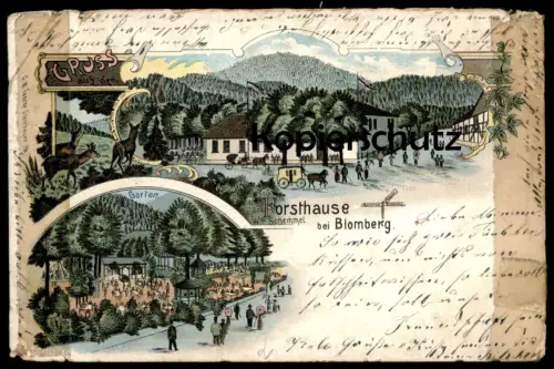 ALTE LITHO POSTKARTE GRUSS AUS DEM FORSTHAUSE BLOMBERG WITWE SCHEMMEL 1898 Forsthaus AK Ansichtskarte cpa postcard