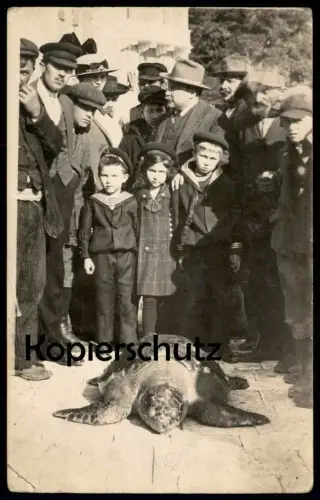 ALTE FOTO POSTKARTE UNECHTE KARETTSCHILDKRÖTE KINDER SCHILDKRÖTE tortoise turtle tortue géante cpa postcard AK