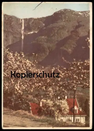 ALTE POSTKARTE NORGE 1944 HARDANGER I BLOMST VERLAG OPPI Norwegen norway Norvege postcard cpa