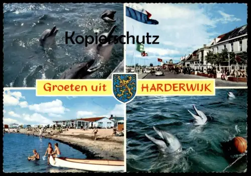 ÄLTERE POSTKARTE GROETEN UIT HARDERWIJK Delphine Delfine Delfin Dolphin Dauphin cpa postcard Ansichtskarte AK