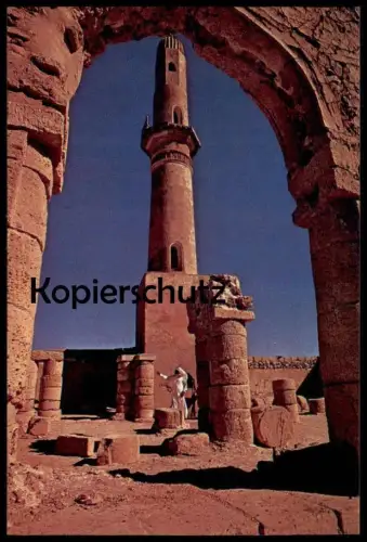 ÄLTERE POSTKARTE MAJID ALKHAMIS BAHRAIN BAHREIN Bahrayn Stamp Agame Leguan Echse saurian saurien postcard Ansichtskarte