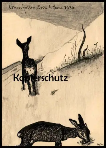 ALTE POSTKARTE ORIGINAL ZEICHNUNG REHE GROSSHOLLENSTEIN 04.06.1936 REH HOLLENSTEIN AK Ansichtskarte postcard cpa