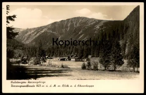 ALTE POSTKARTE RIESENGRUNDBAUDE RIESENGEBIRGE MIT BLICK NACH DER SCHNEEKOPPE Schlesien Ansichtskarte AK cpa postcard