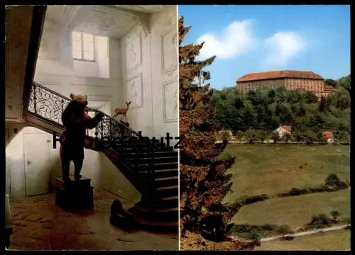 ÄLTERE POSTKARTE PRÄPARIERTER BÄR SCHLOSS SCHILLIGSFÜRST ours bear cpa Ansichtskarte postcard AK