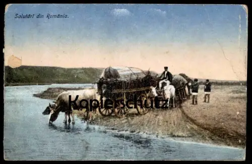 ALTE POSTKARTE SALUTARI DIN ROMANIA Landwirte Farmer Kuh Treck cow vache Rumänien roumanie Ansichtskarte AK cpa postcard