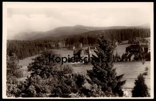 ALTE POSTKARTE OBERHOF THÜRINGEN MIT SCHNEEKOPF Ansichtskarte AK cpa postcard