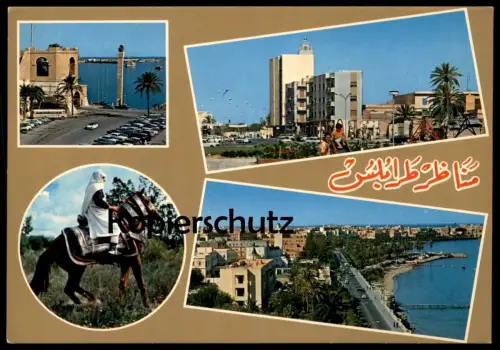ÄLTERE POSTKARTE LIBYA SOUVENIR LIBIA TRIPOLI TRIPOLIS REITER PFERD LIBYEN Libiya horse cpa postcard Ansichtskarte AK