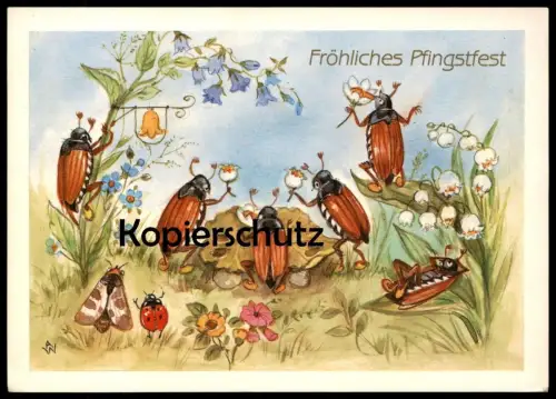 ÄLTERE POSTKARTE FRÖHLICHES PFINGSTFEST MAIKÄFER VERMENSCHLICHT KÄFER Pfingsten Motte Marienkäfer pentecost chafer cpa