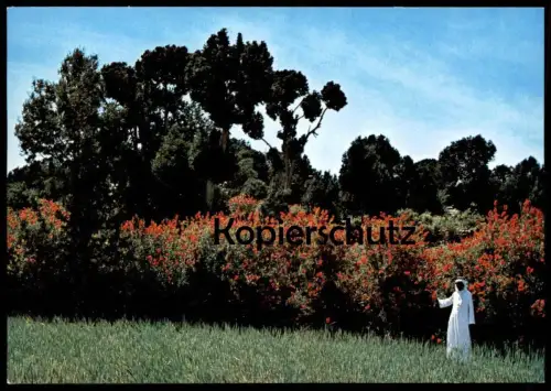 ÄLTERE POSTKARTE AZIR MOUNTAINS GARDENS NEAR ABHA Saudi Arabia Ansichtskarte AK cpa postcard