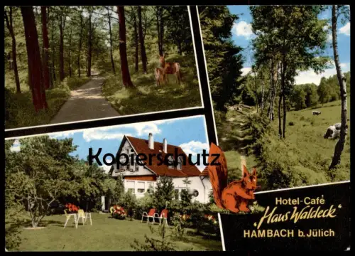 ÄLTERE POSTKARTE HAMBACH BEI JÜLICH WALDHOTEL HAUS WALDECK BEI STETTERNICH Niederzier Wildspezialitäten Elch Bär Löwe