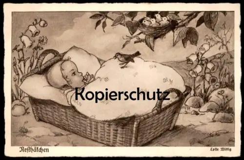 ALTE POSTKARTE NESTHÄKCHEN KIND BABY & VOGEL WIEGE LOTTE WITTIG child cradle bird enfant Ansichtskarte postcard cpa AK