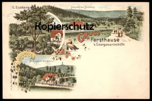 ALTE LITHO POSTKARTE GRUSS VOM FORSTHAUSE BEI GEORGSMARIENHÜTTE BLICK NACH DEM DÖRENBERGE Forsthaus Dörenberg AK cpa