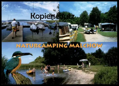 POSTKARTE NATURCAMPING CAMPING EISVOGEL PLAUER SEE Zelt Caravan kingfisher martin-pecheur Ansichtskarte AK cpa postcard