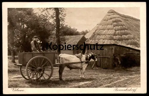 ALTE POSTKARTE VELUWE BOERENBEDRYF BOEREN BEDRYF Bauer Karren Kuh cow Nederland Niederlande Holland netherlands postcard