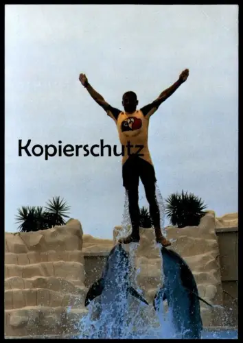 ÄLTERE POSTKARTE LORO PARQUE TENERIFE DELFINARIO DELPHIN-SHOW Delfine Delfin Dolphin Dauphin Tierpark Zoo Teneriffa man