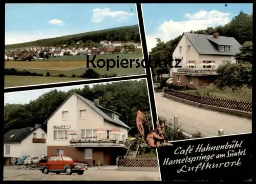 ÄLTERE POSTKARTE HAMELSPRINGE AM SÜNTEL CAFÉ HAHNENBÜHL BAD MÜNDER AM DEISTER Eichhörnchen Ansichtskarte AK cpa postcard
