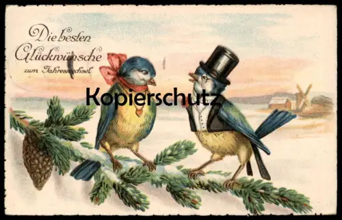 ALTE POSTKARTE VÖGEL VERLIEBT HERZ HOCHZEIT NEUJAHR BLAUMEISE ZYLINDER HUT VOGEL VERMENSCHLICHT Ansichtskarte postcard