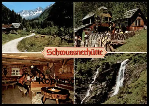 ÄLTERE POSTKARTE SCHWUSSNERHÜTTE MALLNITZ SEEBACHTAL THROM-WASSERFÄLLE KÜHE KUH Schwussner-Hütte cow vache Austria