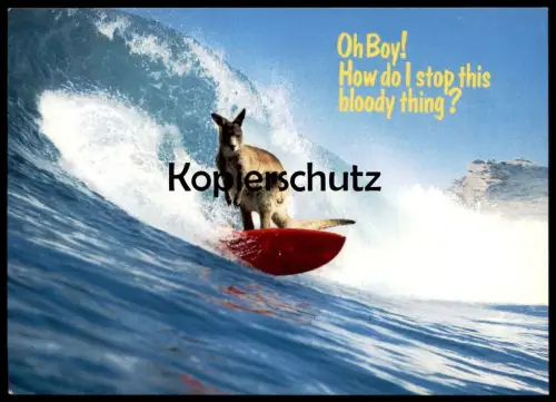 ÄLTERE POSTKARTE KÄNGURUH SURFT SURFEN HUMOR OH BOY! HOW DO I STOP THIS BLOODY THING? kangaroo surfing postcard cpa AK