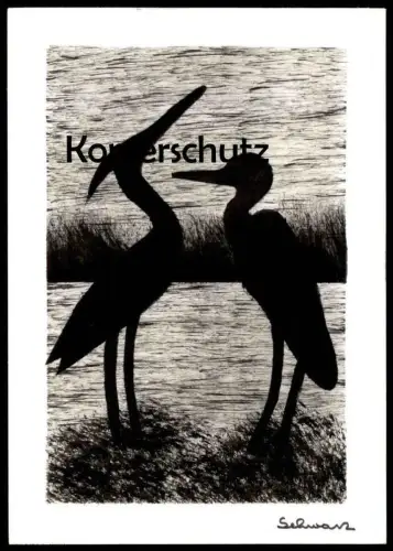 ÄLTERE KÜNSTLER POSTKARTE VÖGEL VOGEL FISCHREIHER REIHER SCHWARZ LINOLSCHNITT Linol heron AK Ansichtskarte postcard cpa