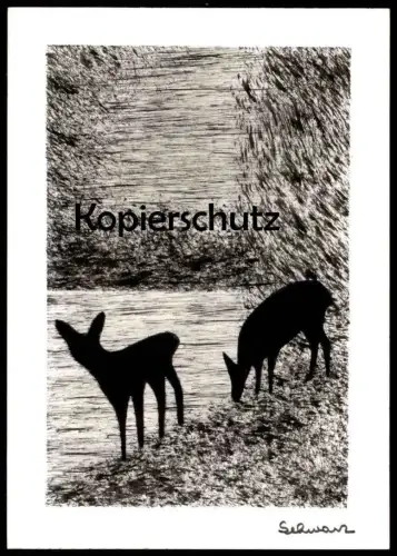ÄLTERE KÜNSTLER POSTKARTE LINOLSCHNITT REH HIRSCH Rehe Roe fallow deer daim chevreuil cerf Schwarz Linol Ansichtskarte