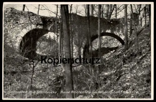 ALTE POSTKARTE HOHENLEUBEN RUINE REICHENFELS REUSS WALLGRABEN MIT STEINBRÜCKE Burg castle Ansichtskarte AK cpa postcard