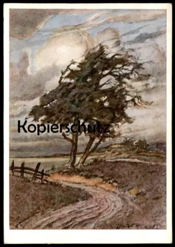 ALTE KÜNSTLER POSTKARTE LANDSCHAFT FELDWEG MÜNSTERLAND LUDWIG MUTERT MALER KUNSTVERLAG BISCHOF & KLEIN Ansichtskarte AK