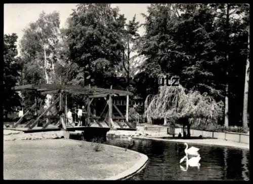 ÄLTERE POSTKARTE TIERPARK UECKERMÜNDE NACHBILDUNG DER ALTEN UECKERMÜNDER BRÜCKE cpa Ansichtskarte postcard AK