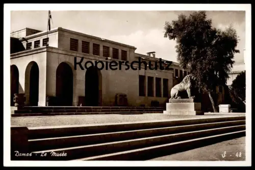 ÄLTERE POSTKARTE DAMAS LE MUSÉE DAMASCUS THE MUSEUM Syrie Syria Syrien Löwe lion cpa postcard AK Ansichtskarte