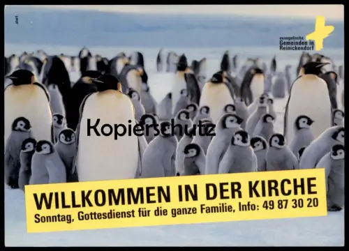 ÄLTERE POSTKARTE PINGUINE PINGUIN WILLKOMMEN IN DER KIRCHE BERLIN REINICKENDORF EDGAR penguin manchot postcard cpa AK