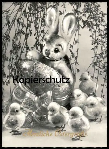 ALTE POSTKARTE HERZLICHE OSTERGRÜSSE KÜKEN OSTERHASE Ostern Easter poussin chick Schwarz-weiss Foto Photo cpa postcard