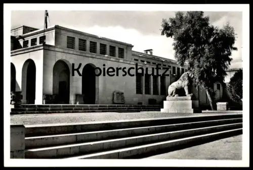 ÄLTERE POSTKARTE DAMAS LE MUSÉE DAMASCUS THE MUSEUM Syrie Syria Syrien Löwe lion cpa postcard AK Ansichtskarte