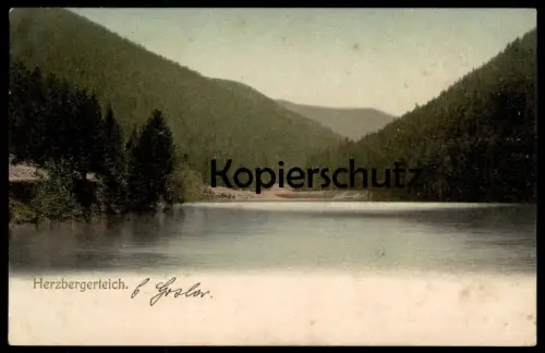 ALTE POSTKARTE GOSLAR HERZBERGERTEICH 1909 HERZBERGER TEICH cpa postcard AK Ansichtskarte