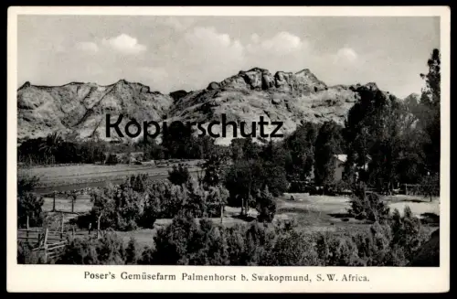 ALTE POSTKARTE SWAKOPMUND POSER'S GEMÜSEFARM PALMENHORST SÜDWEST-AFRIKA postcard Ansichtskarte AK colony colonie Kolonie