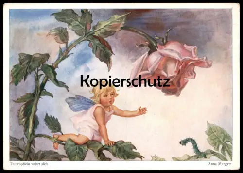 ALTE POSTKARTE TAUTRÖPFLEIN WEHRT SICH ELFE RAUPE ROSE BLUME KIND ANNA MARGRET caterpillar elf Ansichtskarte postcard AK