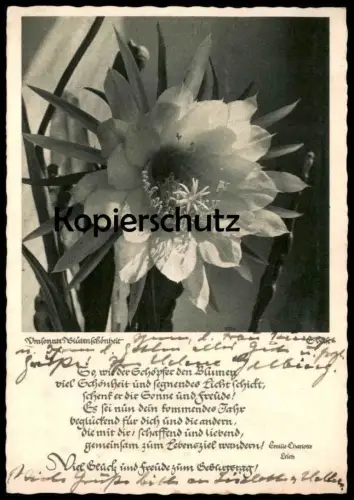 ALTE POSTKARTE UMSONNTE BLÜTENSCHÖNHEIT BLÜTE E. HASE VIEL GLÜCK UND FREUDE Blume Blumen flower Ansichtskarte postcard